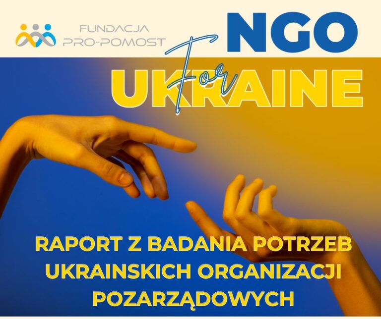 Raport z badania NGO grafika